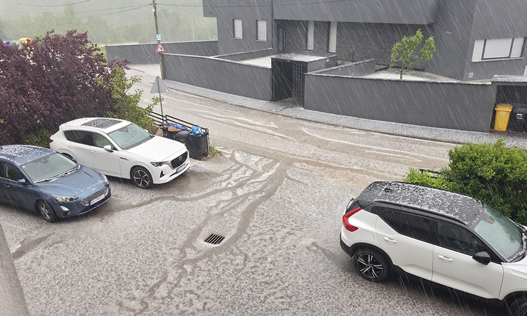 Nevrijeme poharalo Zagreb, padala stabla, ima ozlijeđenih
