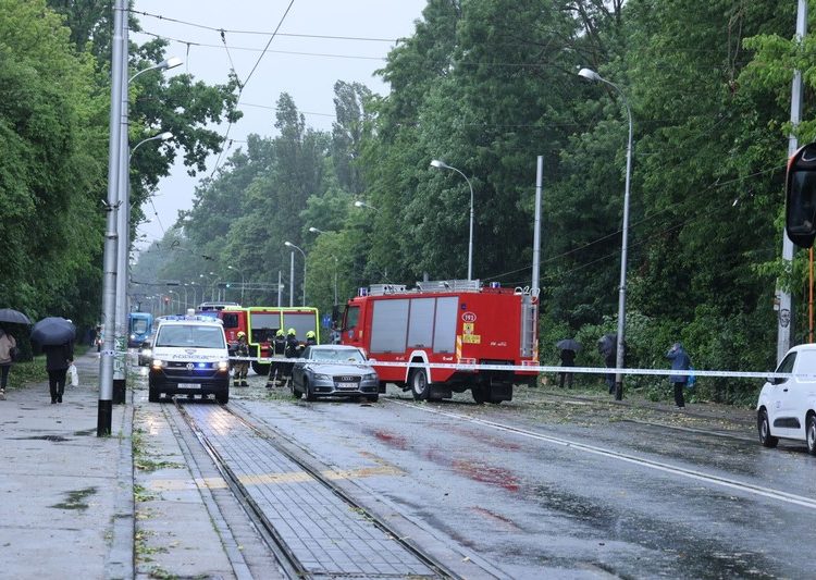 Nevrijeme poharalo Zagreb, padala stabla, ima ozlijeđenih