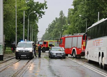 Nevrijeme poharalo Zagreb, padala stabla, ima ozlijeđenih