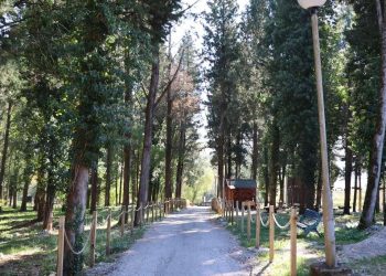 Na Hutovom blatu stiže “Mala olimpijada održivosti”: Više od 120 učenika uči o recikliranju kroz igru