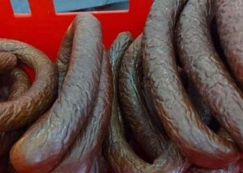Miris ih odao: U Stuttgartu zaplijenjeno više od 250 kg suhog mesa iz autobusa s Kosova