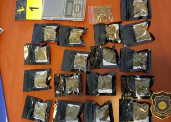 FUP u Sarajevu uhitio tri osobe zbog opojnih droga