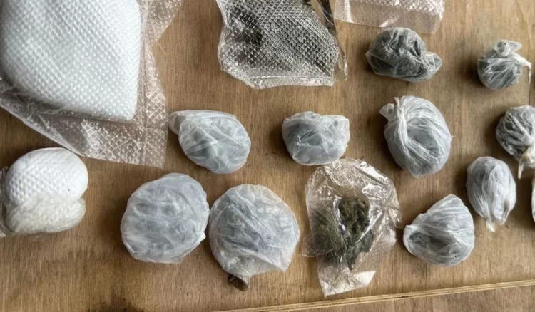 Pretres obiteljske kuće u Konjicu: Pronađena veća količina cannabisa i amfetamina