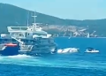 (VIDEO) Teška pomorska nesreća u Hrvatskoj: Sudar katamarana i jedrilice, dvije osobe nestale