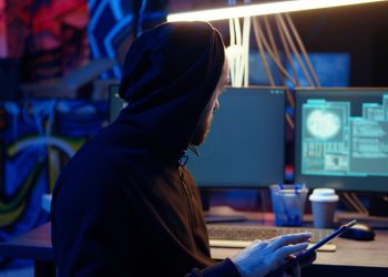 Ljubavne zamke, lažni dostavljači i AI glasovi: Policija upozorava na rast internetskih prijevara u BiH