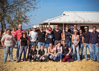 Strava u Hrvatskoj: Kobila udarila i na licu mjesta ubila veterinarskog djelatnika