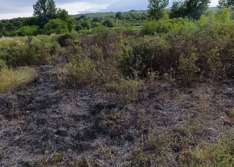 Požari u Grudama, Širokom Brijegu i Ljubuškom: Vatrogasci gasili na tri lokacije