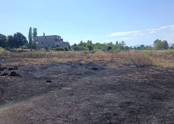 Široki Brijeg: Požar u Ljutom Docu ugašen brzom intervencijom DVD-a