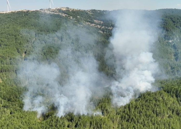 Foto: Vatrogasci Posušje