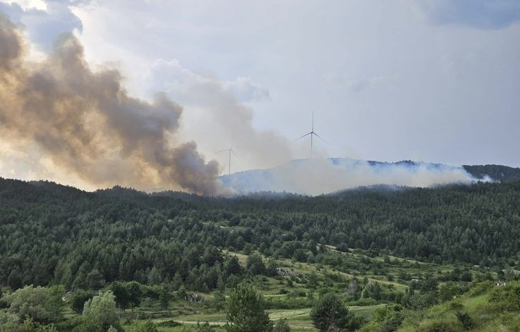 Aktivan požar otvorenog prostora na brdu Oštrc kod Posušja