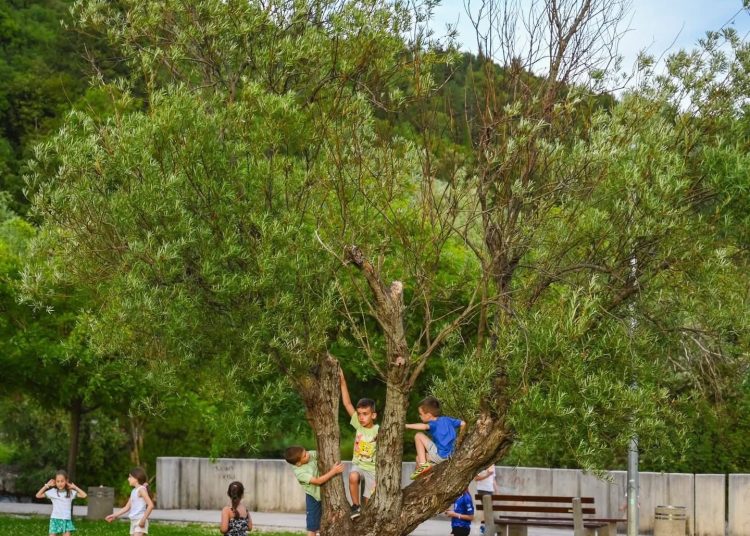 Prava ljetna čarolija u Širokom Brijegu: Brojni mališani uživali u velikom slavlju