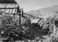 Pod Čvrsnicom 1938.: Putovanje na Čabulju i susret s obitelji Čuljak