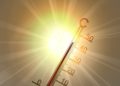 Zbog visokih temperatura preporučuje se putovati ujutro ili predvečer