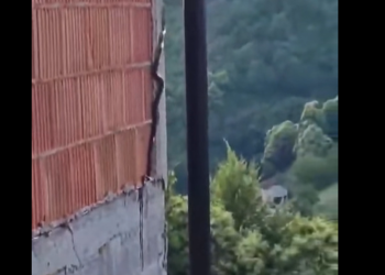 (VIDEO) Pogledajte kako se zmija s lakoćom penje uz zid stambene kuće
