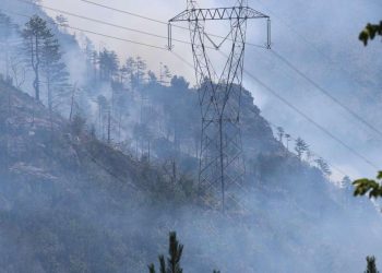 Hercegovinu uhvatila velika vatrena stihija na dva mjesta: Izgorili električni stupovi