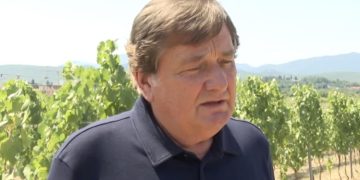 Kakav će ove godine biti urod u vinogradima diljem Hercegovine?