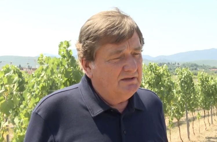 Kakav će ove godine biti urod u vinogradima diljem Hercegovine? Kakav će ove godine biti urod u vinogradima diljem Hercegovine?