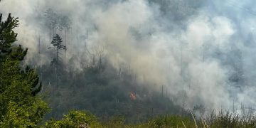 Jak vjetar promijenio plan: Air Tractori umjesto u Mostar sletjeli u Sarajevo