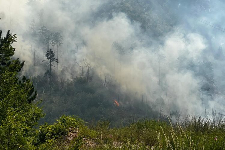 Jak vjetar promijenio plan: Air Tractori umjesto u Mostar sletjeli u Sarajevo