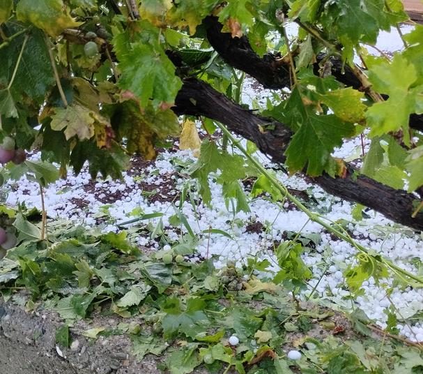 Nevrijeme u Hercegovini: Snažna tuča zabijelila sve u nekoliko minuta
