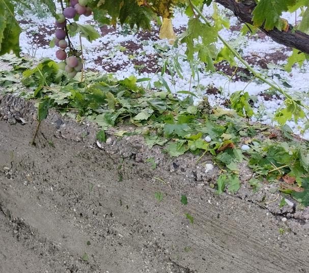 Nevrijeme u Hercegovini: Snažna tuča zabijelila sve u nekoliko minuta