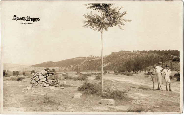 Iz prošlosti Širokog Brijega: Trn prije Drugog svjetskog rata