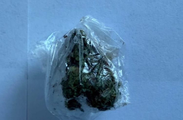 Postupanje policije u Grudama rezultiralo oduzimanjem opojne droge