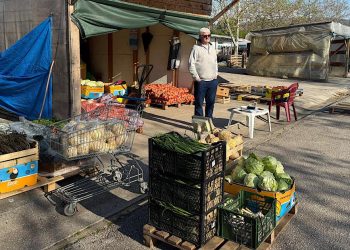 Veletržnica u Tasovčićima prepuna robe: Velika ponuda srušila cijene