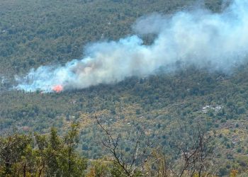 Požar se ponovno aktivirao: Grudskim vatrogascima stiže pomoć iz zraka