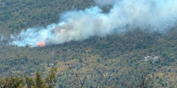 Požar se ponovno aktivirao: Grudskim vatrogascima stiže pomoć iz zraka