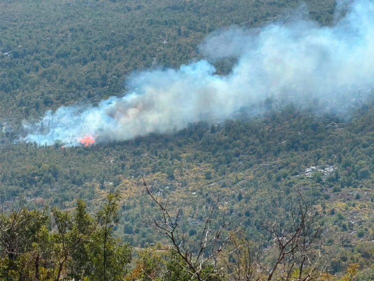 Požar se ponovno aktivirao: Grudskim vatrogascima stiže pomoć iz zraka