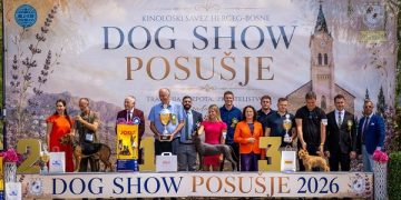 Posušje bilo središte kinologije: Dog Show okupio izlagače iz 21 europske zemlje