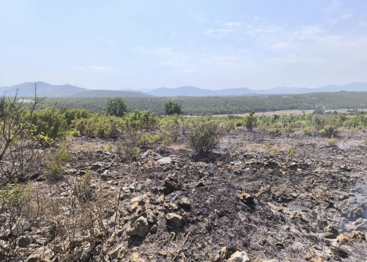 Požar između Ljubuškog i Čitluka brzo ugašen zahvaljujući vatrogascima i mještanima