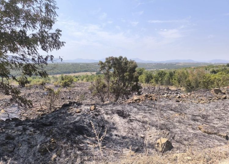 Požar između Ljubuškog i Čitluka brzo ugašen zahvaljujući vatrogascima i mještanima