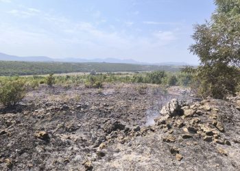 Požar između Ljubuškog i Čitluka brzo ugašen zahvaljujući vatrogascima i mještanima