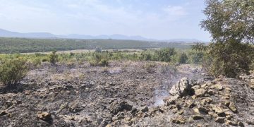 Požar između Ljubuškog i Čitluka brzo ugašen zahvaljujući vatrogascima i mještanima