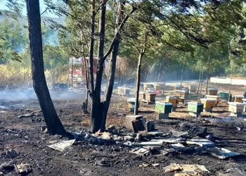 Požar uništio pčelinjak kod Ljubuškog