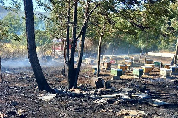 Požar uništio pčelinjak kod Ljubuškog