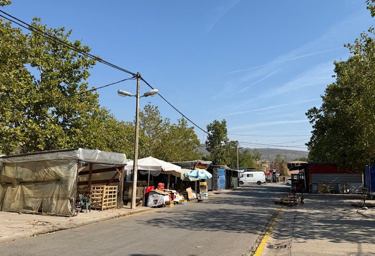 Uobičajena ponuda na veletržnici u Čapljini, manje kupaca zbog godišnjih odmora