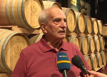Vinogradari u Hercegovini mijenjaju način proizvodnje