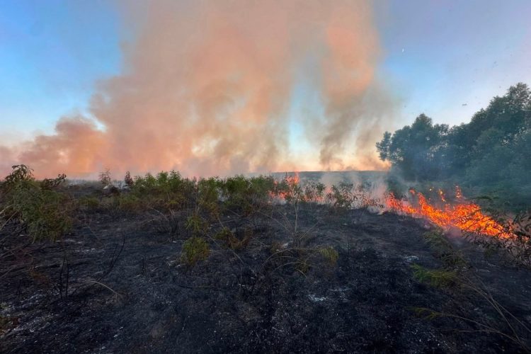 Više požara u HNŽ-u, vatrogasci nadziru požarišta na području Konjica