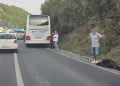 Autobus kod Travnika udario medvjeda na magistralnoj cesti