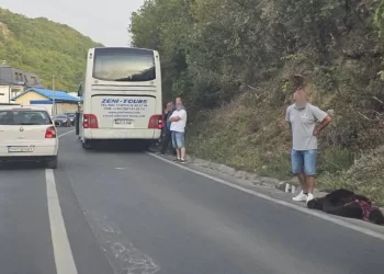 Autobus kod Travnika udario medvjeda na magistralnoj cesti