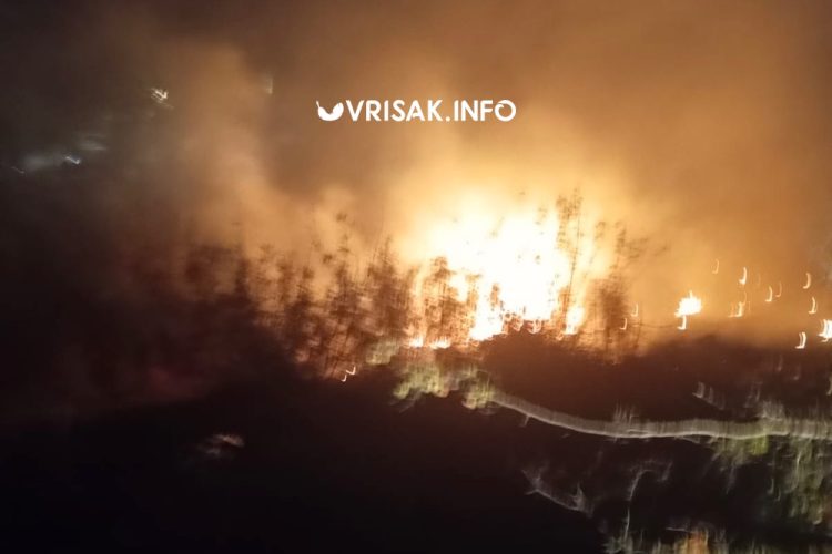 Požar u Knešpolju kod Širokog Brijega, vatrogasci na terenu