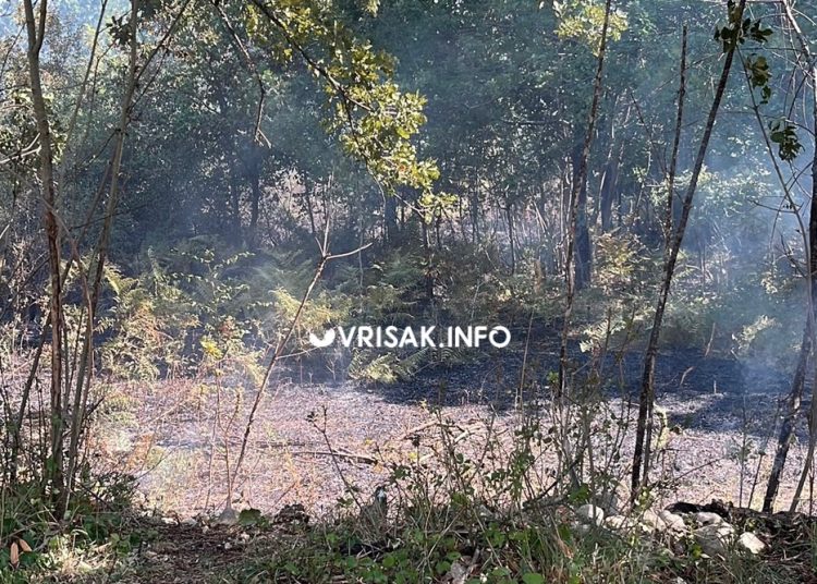 Požar u Širokom Brijegu: Vatra se približila objektima između Trna i Dobrkovića, vatrogasci na terenu