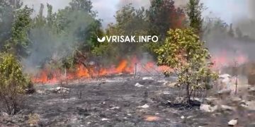 Požar kod Širokog Brijega: Air Tractor ispustio sedam vodenih bombi