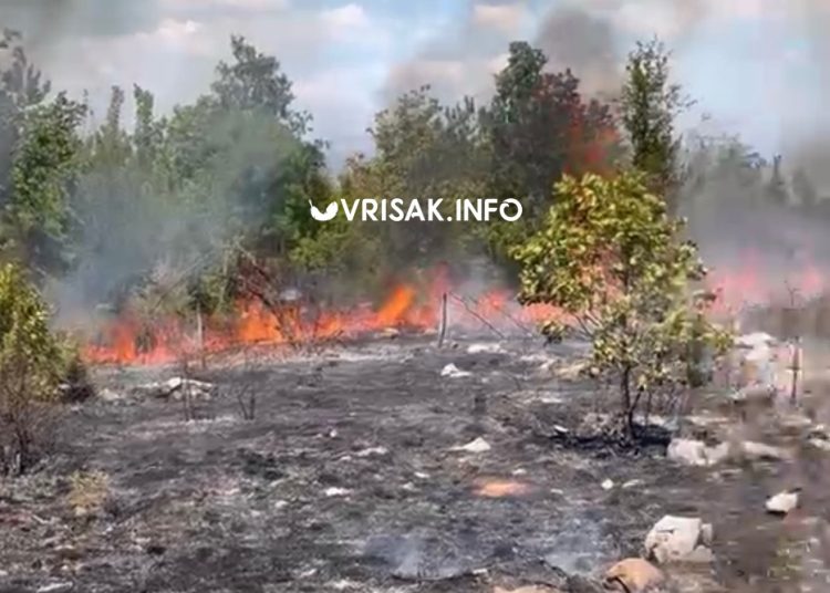 Požar kod Širokog Brijega: Air Tractor ispustio sedam vodenih bombi