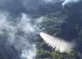 Šumski požar izvan kontrole kod Konjica: Air tractor u akciji