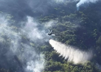 Šumski požar izvan kontrole kod Konjica: Air tractor u akciji