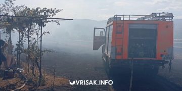 Požar u Biogracima kod Širokog Brijega stigao do kuća: Izgorjelo nekoliko vinograda